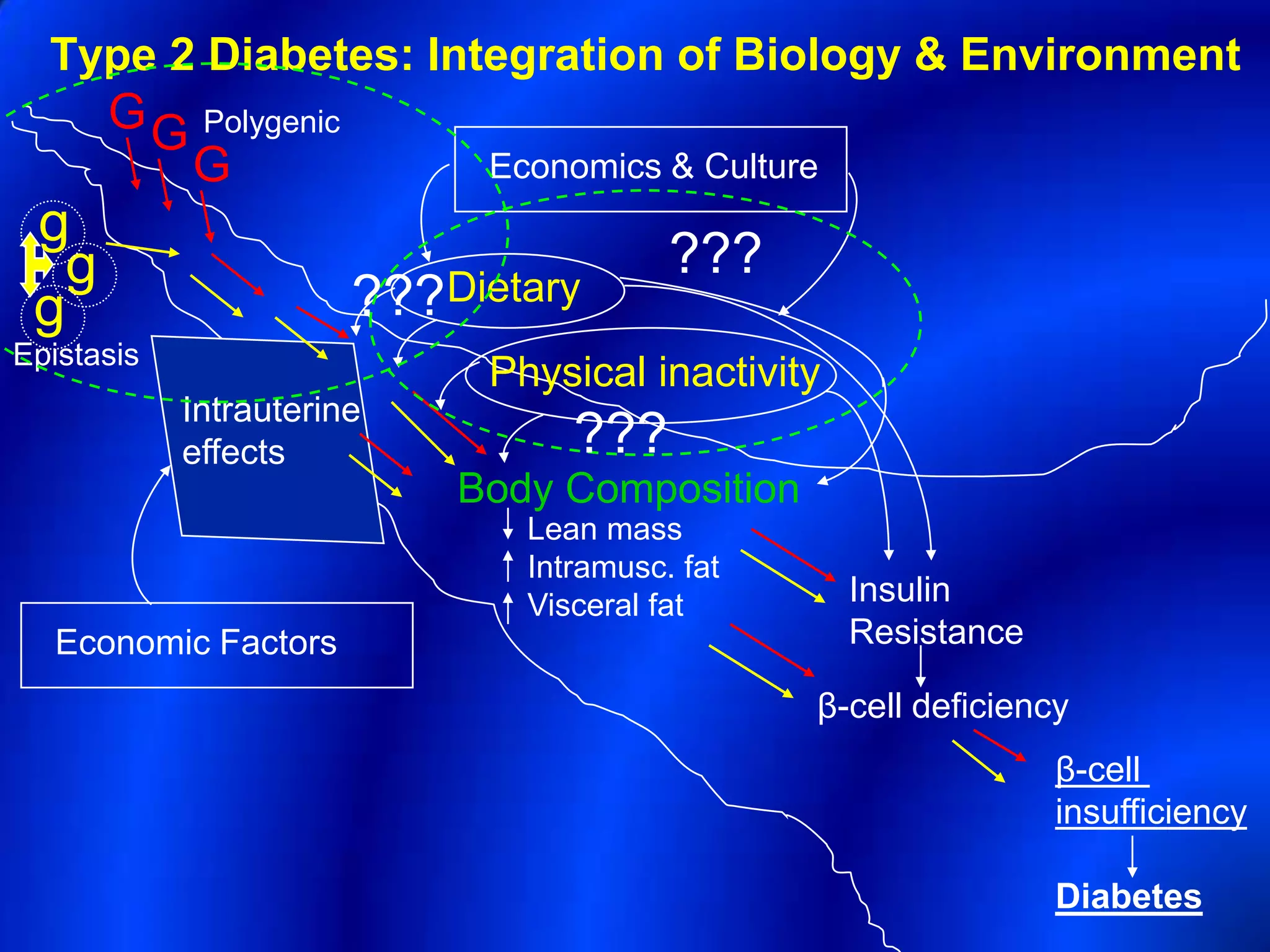 Type 2 Diabetes: Integration of Biology & Environment
       G G Polygenic
          G                  Economics & Culture
 g
   g                                     ???
 g                     ???Dietary
Epistasis
                             Physical inactivity
            Intrauterine
            effects               ???
                           Body Composition
                               Lean mass
                               Intramusc. fat
                               Visceral fat        Insulin
   Economic Factors                                Resistance

                                                β-cell deficiency
                                                                β-cell
                                                                insufficiency

                                                                Diabetes
 