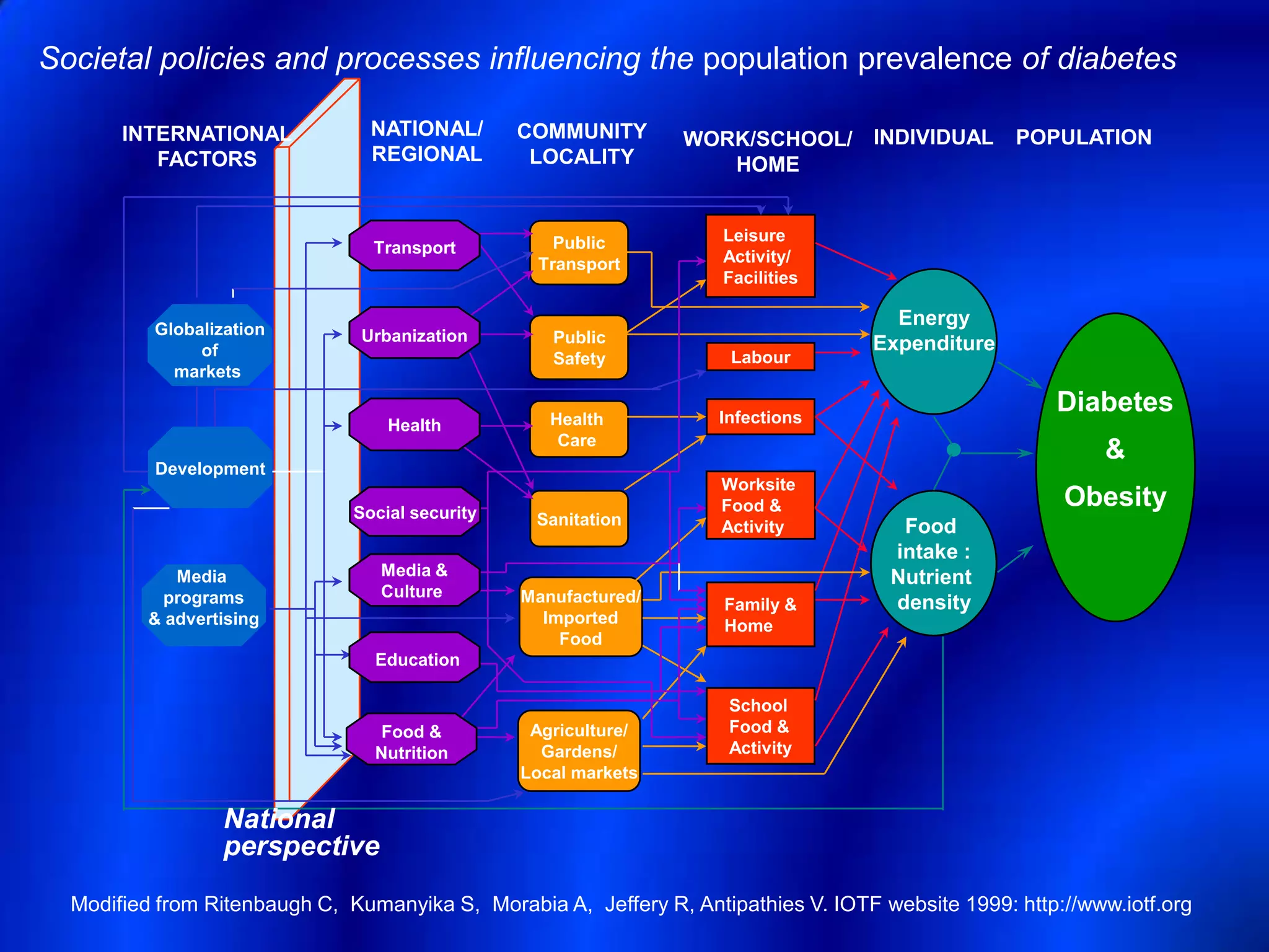 Societal policies and processes influencing the population prevalence of diabetes

       INTERNATIONAL             NATIONAL/       COMMUNITY       WORK/SCHOOL/ INDIVIDUAL           POPULATION
          FACTORS                REGIONAL         LOCALITY          HOME


                                                    Public           Leisure
                                 Transport
                                                  Transport          Activity/
                                                                     Facilities

          Globalization
                                                                                      Energy
                                Urbanization        Public                          Expenditure
               of                                   Safety            Labour
            markets

                                                    Health           Infections
                                                                                                       Diabetes
                                   Health
                                                     Care
                                                                                                            &
          Development
                                                                     Worksite
                               Social security                       Food &                             Obesity
                                                  Sanitation         Activity          Food
                                                                                      intake :
             Media                Media &                                             Nutrient
            programs              Culture        Manufactured/       Family &         density
          & advertising                            Imported          Home
                                                     Food
                                 Education

                                                                      School
                                  Food &          Agriculture/        Food &
                                 Nutrition         Gardens/           Activity
                                                 Local markets

                  National
                  perspective
  Modified from Ritenbaugh C, Kumanyika S, Morabia A, Jeffery R, Antipathies V. IOTF website 1999: http://www.iotf.org
 