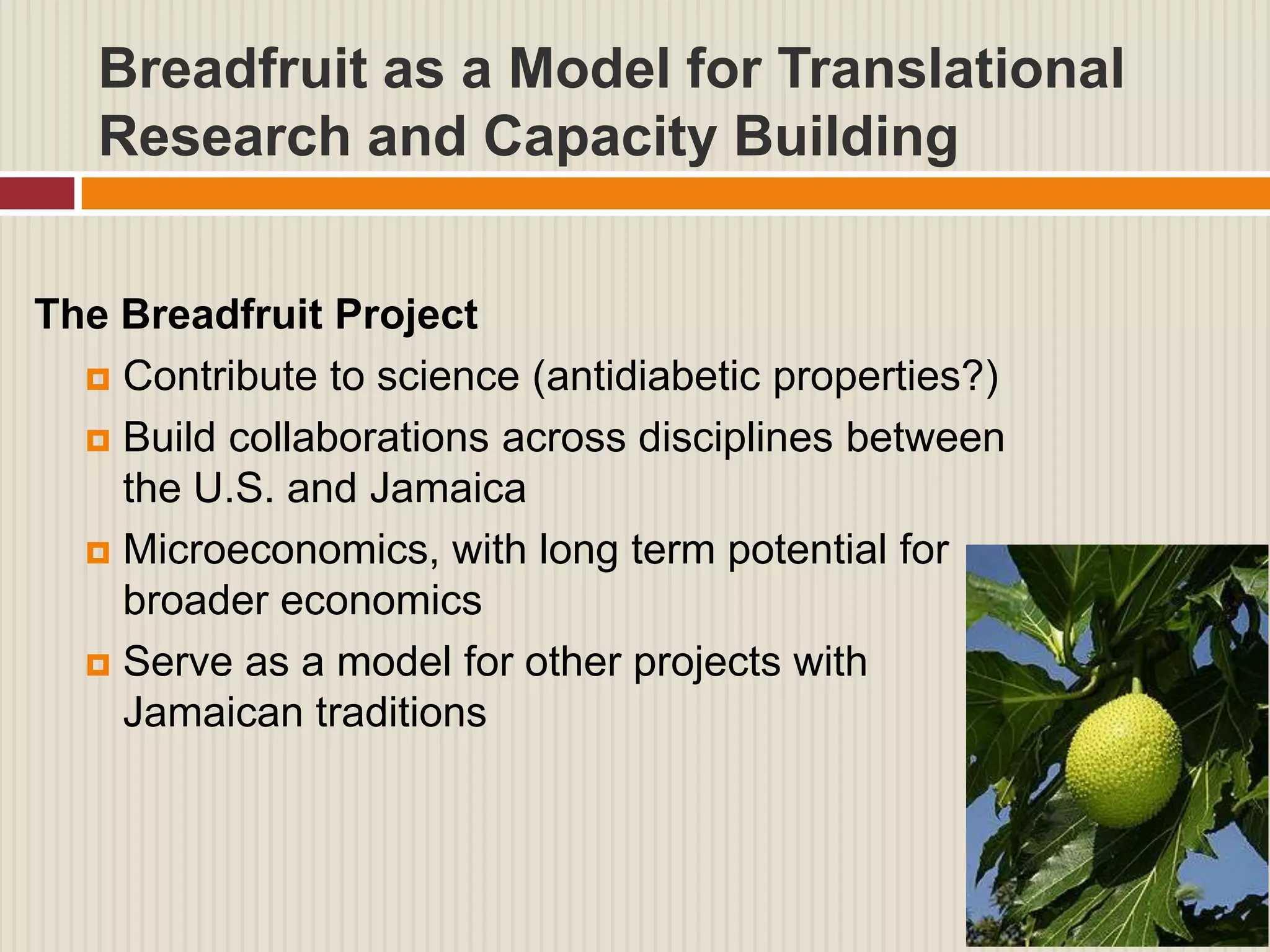 Breadfruit as a Model for Translational
   Research and Capacity Building


The Breadfruit Project
   Contribute to science (antidiabetic properties?)

   Build collaborations across disciplines between
    the U.S. and Jamaica
   Microeconomics, with long term potential for
    broader economics
   Serve as a model for other projects with
    Jamaican traditions
 