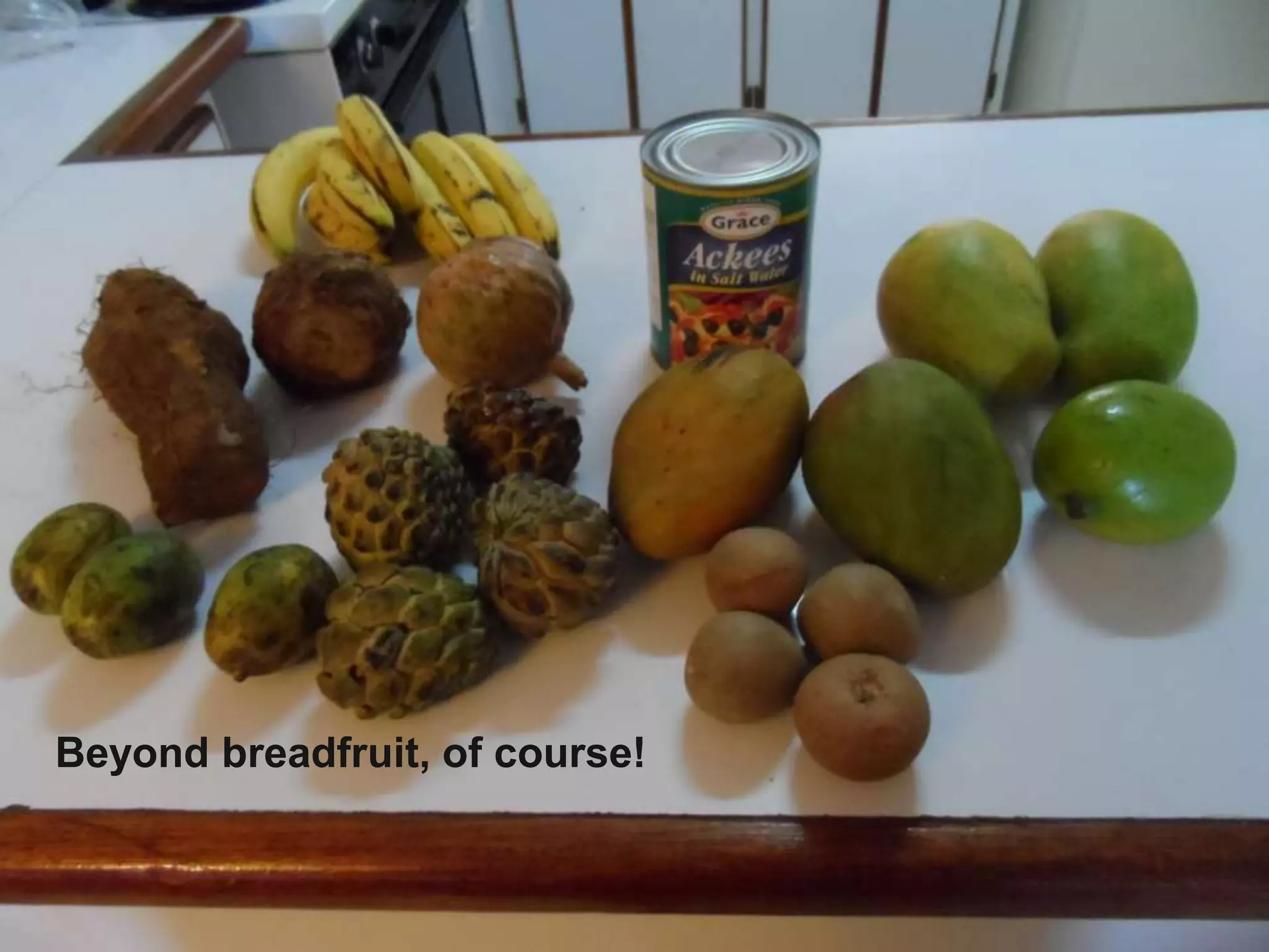 Beyond breadfruit, of course!
 