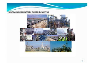 PRINCIPAUX REFERENCES DE DLM EN TUYAUTERIE




                                             20
 