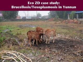 A decade of capacity building on Ecohealth/One Health in Southeast Asia: Challenges and perspectives