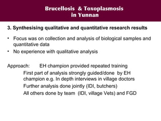 A decade of capacity building on Ecohealth/One Health in Southeast Asia: Challenges and perspectives