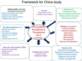 A decade of capacity building on Ecohealth/One Health in Southeast Asia: Challenges and perspectives
