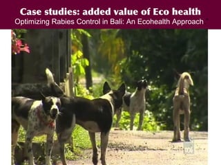 A decade of capacity building on Ecohealth/One Health in Southeast Asia: Challenges and perspectives