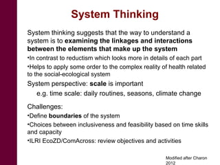 A decade of capacity building on Ecohealth/One Health in Southeast Asia: Challenges and perspectives