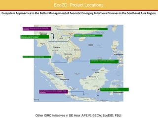 Capacity building in EcoHealth: Experiences and evaluation of training using a "learning by doing" approach, within academic and non-academic contexts