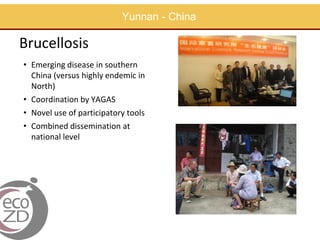 Capacity building in EcoHealth: Experiences and evaluation of training using a "learning by doing" approach, within academic and non-academic contexts