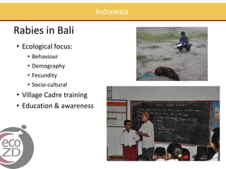 Capacity building in EcoHealth: Experiences and evaluation of training using a "learning by doing" approach, within academic and non-academic contexts