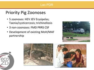 Capacity building in EcoHealth: Experiences and evaluation of training using a "learning by doing" approach, within academic and non-academic contexts