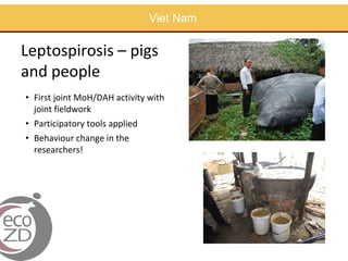 Capacity building in EcoHealth: Experiences and evaluation of training using a "learning by doing" approach, within academic and non-academic contexts