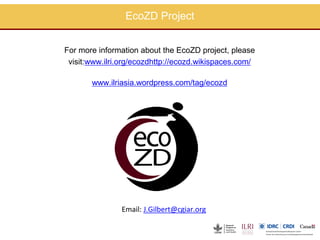Capacity building in EcoHealth: Experiences and evaluation of training using a "learning by doing" approach, within academic and non-academic contexts