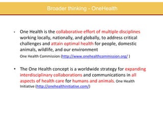 Capacity building in EcoHealth: Experiences and evaluation of training using a "learning by doing" approach, within academic and non-academic contexts