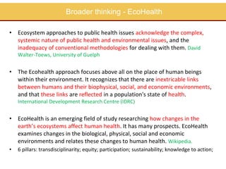 Capacity building in EcoHealth: Experiences and evaluation of training using a "learning by doing" approach, within academic and non-academic contexts