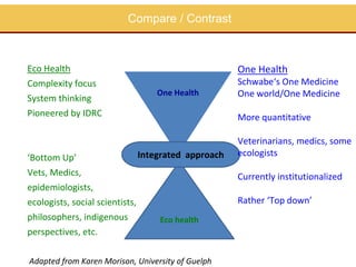Capacity building in EcoHealth: Experiences and evaluation of training using a "learning by doing" approach, within academic and non-academic contexts