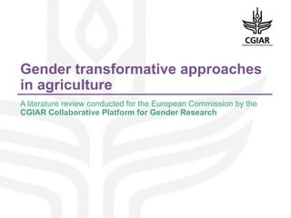 Gender transformative approaches
in agriculture
A literature review conducted for the European Commission by the
CGIAR Collaborative Platform for Gender Research
 