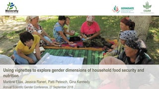 Using vignettes to explore gender dimensions of household food security and nutrition