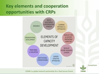 Capacity development within CGIAR
