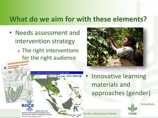 Capacity development within CGIAR