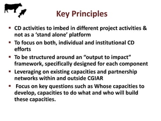 Update on capacity strengthening