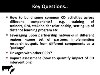 Update on capacity strengthening
