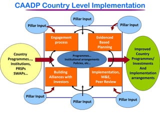 CAADP Country Level Implementation
                                            Pillar Input
            Pillar Input                                                     Pillar Input


                            Engagement                       Evidenced
                              process                          Based
                                                              Planning                Improved
    Country                                Programmes…
                                                                                       Country
Programmes…,                        Institutional arrangements                      Programmes/
  Institutions,                            Policies, etc…                            Investments
     PRSPs                                                                               And
    SWAPs…                    Building                     Implementation,         Implementation
                           Alliances with                       M&E,                arrangements
                              Investors                      Peer Review


          Pillar Input
                                                                         Pillar Input
                                            Pillar Input
 