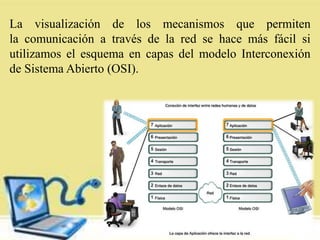 La visualización de los mecanismos que permiten
la comunicación a través de la red se hace más fácil si
utilizamos el esquema en capas del modelo Interconexión
de Sistema Abierto (OSI).
 