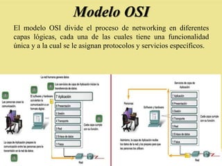 Modelo OSI
El modelo OSI divide el proceso de networking en diferentes
capas lógicas, cada una de las cuales tiene una funcionalidad
única y a la cual se le asignan protocolos y servicios específicos.
 