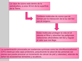 La capa de ozono está dentro de la estratosfera, a unos 30 km de la superficie de la Tierra.Contiene moléculas de ozono que se forman por la interacción de la luz del Sol con el oxígeno.Estas moléculas protegen la vida en el planeta al filtrar y absorber las peligrosas radiaciones ultravioletas del Sol y regular el calor que nos llega.La contaminación provocada por sustancias químicas como los clorofluorocarbonos (CFC) destruye esta capa protectora, perjudicando la salud de las personas (se piensa que puede provocar un incremento de cáncer de piel y cataratas), además de dañar los ecosistemas terrestres y acuáticos.