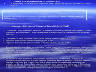 Programa de las Naciones Unidas para el Desarrollo (PNUD) Las actividades del Programa de las Naciones Unidas para el Desarrollo con respecto a la capa de ozono abarcan lo siguiente:  Organización de las Naciones Unidas para el Desarrollo Industrial (ONUDI) El trabajo de la ONUDI comprende la preparación y el análisis de las propuestas para proyectos de inversión y la puesta en aplicación, a nivel de instalación, de los cronogramas de eliminación gradual. Se están estudiando las actividades siguientes:  Una propuesta global de estrategia e inversión para el sector de refrigeración y espuma en Egipto.  Preparación de los proyectos de inversión en refrigeración en Siria.  Preparación de los proyectos de inversión en los sectores de espumas y solventes en China.  Casi todos los países desarrollados han contribuido al Fondo, a excepción de los países centroeuropeos y de Europa Oriental que solicitaron exenciones temporales por motivo de graves dificultades financieras. Las partes ahora están considerando si podrían obtener contribuciones en especie de dichos países. A partir del 31 de julio de 1993, para los años 1991 y 1992, hay giros pendientes de unos 24 millones de dólares contra contribuciones asignadas en garantía de 126,66 millones de dólares.  Actualmente, 80 países en desarrollo están clasificados como amparados por el Artículo 5. Las agencias de instrumentación están preparando programas nacionales en 44 países. Ya se han preparado 10 programas nacionales para Chile, China, Costa Rica, Ecuador, Egipto, Ghana, Malasia, México, Turquía y Zambia, los cuales han sido aprobados por el Comité Ejecutivo. Estos programas nacionales tienen el propósito de eliminar unas 69.000 toneladas de SDO. Cincuenta y tres proyectos para demostraciones e inversiones han sido aprobados en 16 países en desarrollo a un costo de 55 millones de dólares para eliminar 25.000 millones de toneladas de SDO. Programas específicos de formación nacional, proyectos para demostraciones, asistencia técnica y estudios de viabilidad.  Reconocimientos nacionales para comprender las necesidades y circunstancias.  