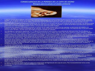 CONSECUENCIAS DE LA PERDIDA DE LA CAPA DE OZONO Riesgos para la salud y el medio ambiente Cualquier aumento de la radiación UVB que llegue hasta la superficie de la Tierra tiene el potencial para provocar daños al medio ambiente y a la vida terrestre. Los resultados indican que los tipos más comunes y menos peligrosos de cáncer de la piel, no melanomas, son causados por las radiaciones UVA y UVB. Se calcula que para el año 2008 la pérdida de la capa de ozono será mayor al 5 o 10% para las latitudes medias durante el verano. Según los datos actuales una disminución constante del 10% conduciría a un aumento del 26% en la incidencia del cáncer de la piel. Las últimas pruebas indican que la radiación UVB es una causa de los melanomas más raros pero malignos y virulentos. La gente de piel blanca que tiene pocos pigmentos protectores es la más susceptible al cáncer cutáneo, aunque todos están expuestos al peligro.  El aumento de la radiación UVB también provocará un aumento de los males oculares tales como las cataratas, la deformación del cristalino y la presbicia. Se espera un aumento considerable de las cataratas, causa principal de la ceguera en todo el mundo. Una reducción del 1% de ozono puede provocar entre 100.000 y 150.000 casos adicionales de ceguera causada por cataratas. Las cataratas son causa de la ceguera de 12 a 15 millones de personas en todo el mundo y de problemas de visión para otros 18 a 30 millones. La radiación UVC es más dañina que la UVB en causar la ceguera producida por el reflejo de la nieve, pero menos dañina en causar cataratas y ceguera.  La exposición a una mayor radiación UVB podría suprimir la eficiencia del sistema inmunológico del cuerpo humano. La investigación confirma que la radiación UVB tiene un profundo efecto sobre el sistema inmunológico, cuyos cambios podrían aumentar los casos de enfermedades infecciosas con la posible reducción de la eficiencia de los programas de inmunización. La inmunosupresión por la radiación UVB ocurre independientemente de la pigmentación de la piel humana. Tales efectos exacerbarían los problemas de salud de muchos países en desarrollo.  El aumento de la radiación UVB además provocaría cambios en la composición química de varias especies de plantas, cuyo resultado sería una disminución de las cosechas y perjuicios a los bosques. Dos tercios de las plantas de cultivo y otras sometidas a pruebas de tolerancia de la luz ultravioleta demostraron ser sensibles a ella. Entre las más vulnerables se incluyeron las de la familia de los guisantes y las habichuelas, los melones, la mostaza y las coles; se determinó también que el aumento de la radiación UVB disminuye la calidad de ciertas variedades del tomate, la patata, la remolacha azucarera y la soja. La radiación UVB afecta la vida submarina y provoca daños hasta 20 metros de profundidad, en aguas claras. Es muy perjudicial para las pequeñas criaturas del plancton, las larvas de peces, los cangrejos, los camarones y similares, al igual que para las plantas acuáticas. Puesto que todos estos organismos forman parte de la cadena alimenticia marina, una disminución de sus números puede provocar asimismo una reducción de los peces. La investigación ya ha demostrado que en algunas zonas el ecosistema acuático está sometido a ataque por la radiación UVB cuyo aumento podría tener graves efectos detrimentales. Los países que dependen del pescado como una importante fuente alimenticia podrían sufrir consecuencias graves. Al mismo tiempo, una disminución en el número de las pequeñas criaturas del fitoplancton marino despojaría a los océanos de su potencial como colectores de dióxido de carbono, contribuyendo así a un aumento del gas en la atmósfera y al calentamiento global consecuente. Los materiales utilizados en la construcción, las pinturas y los envases y muchas otras sustancias son degradados por la radiación UVB. Los plásticos utilizados al aire libre son los más afectados y el daño es más grave en las regiones tropicales donde la degradación es intensificada por las temperaturas y niveles de luz solar más elevados. Los costos de los daños ascienden  a miles de millones de dólares anuales. La destrucción del ozono estratosférico agravaría la contaminación fotoquímica en la troposfera y aumentaría el ozono cerca de la superficie de la Tierra donde no se lo desea. La contaminación fotoquímica ocurre principalmente en las ciudades donde los gases de escape y las emisiones industriales tienen su mayor concentración. La Tierra y sus habitantes tienen mucho en juego en la preservación del frágil escudo de la capa de ozono. Pero inconscientemente hemos venido sometiendo a la capa de ozono a ataques subrepticios y sostenidos. La amenaza. 