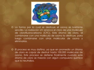 La forma por la cual se destruye el ozono es bastante sencilla. La radiación UV arranca el cloro de una molécula de clorofluorocarbono (CFC). Este átomo de cloro, al combinarse con una molécula de ozono la destruye, para luego combinarse con otras moléculas de ozono y eliminarlas.El proceso es muy dañino, ya que en promedio un átomo de cloro es capaz de destruir hasta 100.000 moléculas de ozono. Este proceso se detiene finalmente cuando este átomo de cloro se mezcla con algún compuesto químico que lo neutraliza.