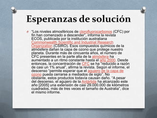 Esperanzas de solución“Los niveles atmosféricos de clorofluorocarbonos (CFC) por fin han comenzado a descender”, informa la revista ECOS, publicada por la institución australiana Commonwealth Scientific and Industrial ResearchOrganization (CSIRO). Esos compuestos químicos de la atmósfera dañan la capa de ozono que protege nuestro planeta. Durante más de cincuenta años, el número de CFC presentes en la parte alta de la atmósfera ha aumentado a un ritmo constante hasta el año 2000. Desde entonces, la concentración de CFC se ha “reducido a razón de casi un 1% anual”, afirma la revista. Según el informe, el descenso “permite esperar que el agujero de la capa de ozono pueda cerrarse a mediados de siglo”. No obstante, estos productos todavía causan daño. “A pesar del descenso, el agujero de la Antártida ha alcanzado este año [2005] una extensión de casi 29.000.000 de kilómetros cuadrados, más de tres veces el tamaño de Australia”, dice el mismo informe.