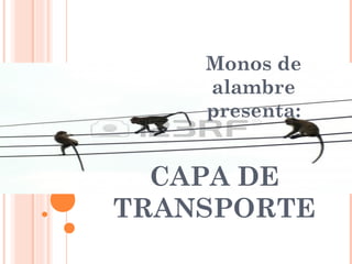 CAPA DE
TRANSPORTE
Monos de
alambre
presenta:
 