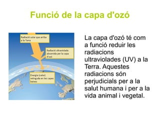Funció de la capa d'ozó

            La capa d'ozó té com
            a funció reduir les
            radiacions
            ultraviolades (UV) a la
            Terra. Aquestes
            radiacions són
            perjudicials per a la
            salut humana i per a la
            vida animal i vegetal.
 