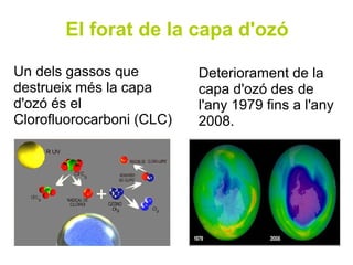 El forat de la capa d'ozó

Un dels gassos que         Deteriorament de la
destrueix més la capa      capa d'ozó des de
d'ozó és el                l'any 1979 fins a l'any
Clorofluorocarboni (CLC)   2008.
 