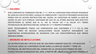 • HALONES.
SON COMPUESTOS FORMADOS POR BR, F Y C. POR SU CAPACIDAD PARA APAGAR INCENDIOS
SE USAN EN LOS EXTINTORES, AUNQUE SU FABRICACIÓN Y USO ESTÁ PROHIBIDO EN MUCHOS
PAÍSES POR SU ACCIÓN DESTRUCTORA DEL OZONO. SU CAPACIDAD DE DAÑAR LA CAPA DE
OZONO ES MUY ALTA PORQUE CONTIENEN BR QUE ES UN ÁTOMO MUCHOS MÁS EFECTIVO
DESTRUYENDO EL OZONO QUE EL CL. ASÍ, EL HALON 1301 Y EL HALON 1211 TIENEN
POTENCIALES DE DESTRUCCIÓN DEL OZONO DE 13 Y 4 RESPECTIVAMENTE.
NOTA: TÉCNICAMENTE TODOS LOS COMPUESTOS QUE CONTIENEN C Y F Y/O CL SON
HALONES, PERO EN MUCHAS LEGISLACIONES HALÓN SIGNIFICA ÚNICAMENTE LAS
SUBSTANCIAS AXTINGUIDORAS DE INCENDIOS CON LAS CARACTERÍSTICAS QUE HEMOS
INDICADO ARRIBA.

• BROMURO DE METILO (CH3BR)
ES UN PESTICIDA MUY EFICAZ QUE SE USA PARA FUMIGAR SUELOS Y EN MUCHOS
CULTIVOS. DADO SU CONTENIDO EN BR DAÑA LA CAPA DE OZONO Y TIENE UN
POTENCIAL DE DESTRUCCIÓN DEL OZONO DE 0.6. EN MUCHOS PAÍSES SE HAN
FIJADO FECHAS ALREDEDOR DEL 2000, A PARTIR DE LAS CUALES ESTARÁ PROHIBIDO

 