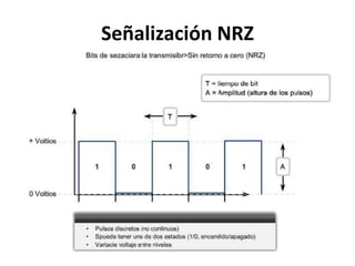 Señalización NRZ
 