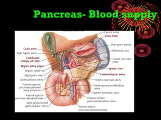 Pancreas- Blood supply
 