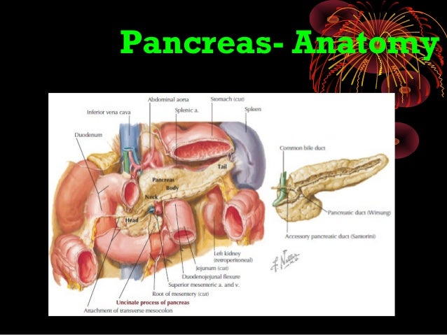 PANCREATIC CARCINOMA/ Obstructive Jaundice