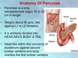 Anatomy Of Pancreas
• Pancreas is a long
retroperitoneal organ 15 to 20
cm in length.
• Weighs about 80 gms ,lies
against L1 & L2 Vertebra.
• It is arbitarily divided into
HEAD,NECK BODY & TAIL
• Head lies within the concavity of
duodenum against second
lumbar vertebra and body
overlies the first lumbar vertebra
 