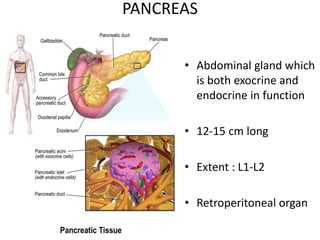 PANCREAS
• Abdominal gland which
is both exocrine and
endocrine in function
• 12-15 cm long
• Extent : L1-L2
• Retroperitoneal organ
 