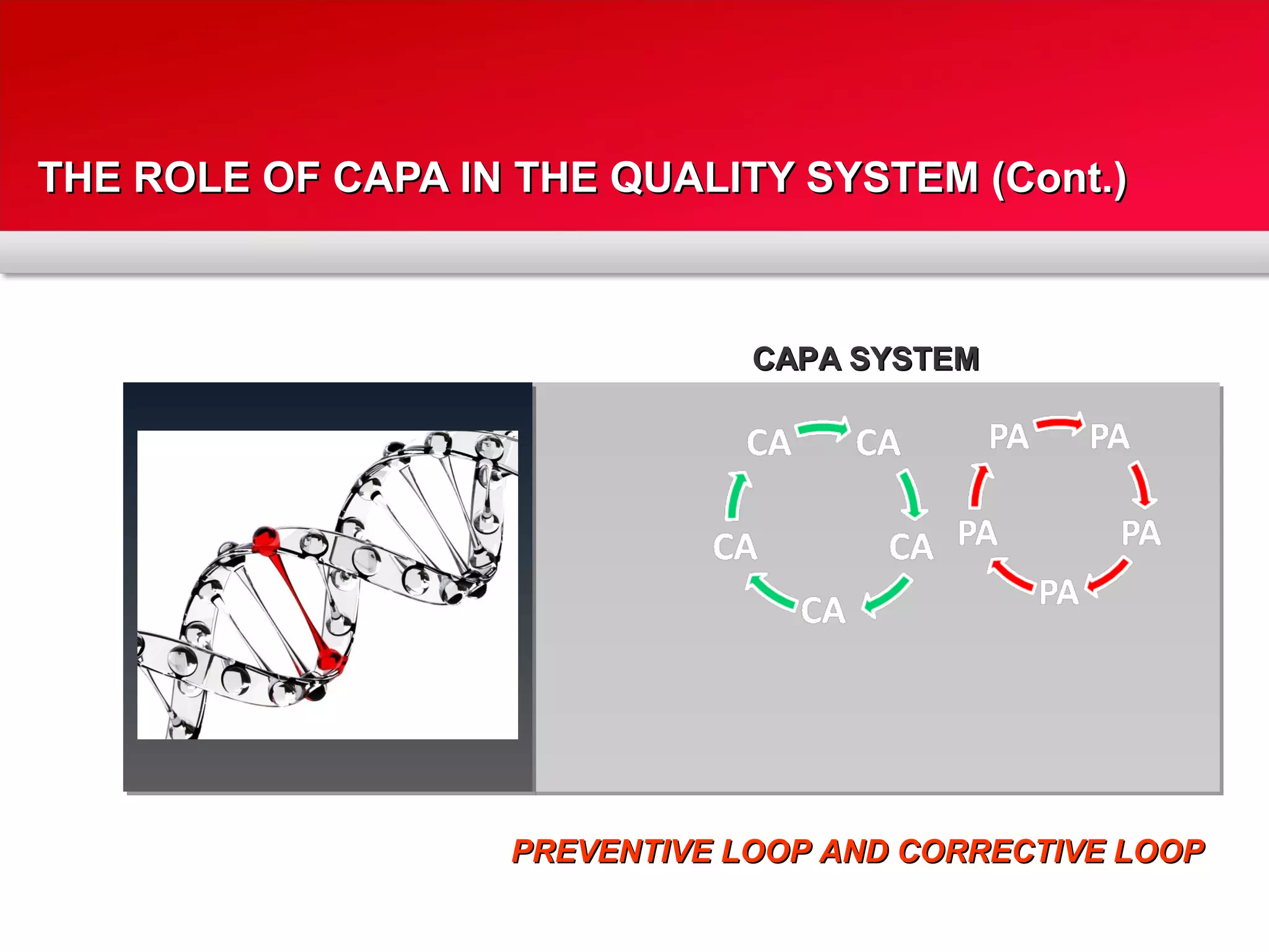 THE ROLE OF CAPA IN THE QUALITY SYSTEM (Cont.)THE ROLE OF CAPA IN THE QUALITY SYSTEM (Cont.)
CAPA SYSTEMCAPA SYSTEM
PREVENTIVE LOOP AND CORRECTIVE LOOPPREVENTIVE LOOP AND CORRECTIVE LOOP
 