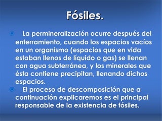 Fósiles.  La permineralización ocurre después del enterramiento, cuando los espacios vacíos en un organismo (espacios que en vida estaban llenos de líquido o gas) se llenan con agua subterránea, y los minerales que ésta contiene precipitan, llenando dichos espacios.  El proceso  de descomposición que a continuación explicaremos es el principal responsable de la existencia de fósiles. 