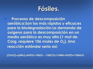 Fósiles.  Procesos de descomposición aeróbica:Son los más rápidos y eficaces para la biodegradación.La demanda de oxígeno para la descomposición en un medio aeróbico es muy alta (1 mol de Corg. requiere 106 moles de O 2 ). Una reacción estándar sería así: (CH 2 O) 106 (NH 3 ) 16 H 3 PO 4 +106O 2 -> 106CO 2 +16NH 3 +H 3 PO 4 +106H 2 O 