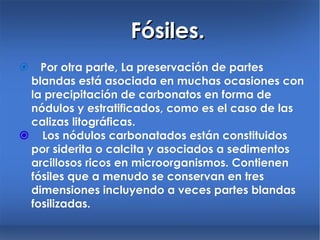Fósiles.   Por otra parte, La preservación de partes blandas está asociada en muchas ocasiones con la precipitación de carbonatos en forma de nódulos y estratificados, como es el caso de las calizas litográficas.    Los nódulos carbonatados están constituidos por siderita o calcita y asociados a sedimentos arcillosos ricos en microorganismos. Contienen fósiles que a menudo se conservan en tres dimensiones incluyendo a veces partes blandas fosilizadas. 
