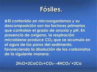 Fósiles.  El contenido en microorganismos y su descomposición son los factores primarios que controlan el grado de anoxia y pH. En presencia de oxígeno, la respiración microbiana produce CO 2  que se acumula en el agua de los poros del sedimento, favoreciendo la disolución de los carbonatos de la siguiente manera: 2H 2 O+2CaCO 3 +CO 2 ↔ 4HCO 3 ˉ +2Ca 