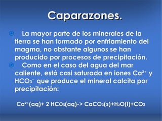  La mayor parte de los minerales de la tierra se han formado por enfriamiento del magma, no obstante algunos se han producido por procesos de precipitación.  Como en el caso del agua del mar caliente, está casi saturada en iones Ca² ⁺ y HCO 3 ⁻ que produce el mineral calcita por precipitación: Ca²⁺(aq)+ 2 HC O 3 (aq)-> CaCO 3 (s)+H 2 O(l)+CO 2 Caparazones. 