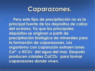Caparazones.  Pero este tipo de precipitación no es la principal fuente de los depósitos de caliza del océano. Ya que los principales depósitos se originan a partir de precipitación biológica de minerales para la formación de caparazones. Los organismo con caparazón extraen iones Ca ²⁺ y HCO 3 ⁻ del agua del mar. Después producen cristales CaCO 3   para formar caparazones donde viven. 