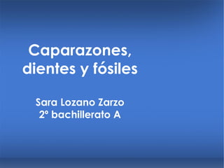 Caparazones, dientes y fósiles Sara Lozano Zarzo 2º bachillerato A 